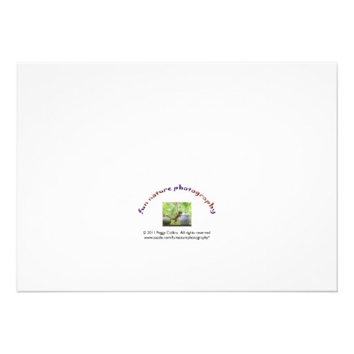 Squirrel Drinking Cocktail Personalized Invitation