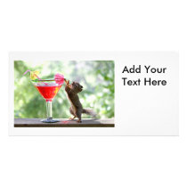 Squirrel Drinking Cocktail Photo Cards