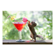 Squirrel Drinking Cocktail Photograph