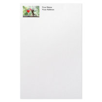 Squirrel Drinking Cocktail Personalized Stationery