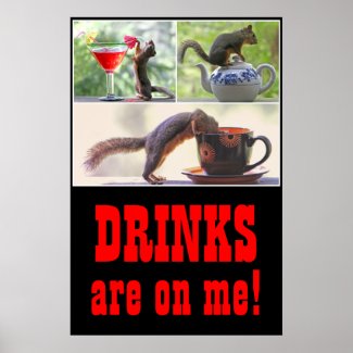 Squirrel Drinking Collage