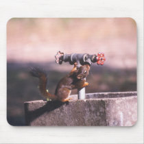 Squirrel drinking mousepads