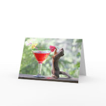 Squirrel Drinking Tropical Drink Card