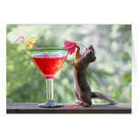 Squirrel Drinking Tropical Drink Card