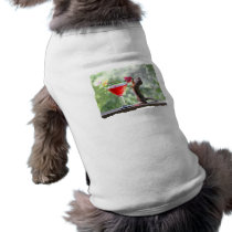 Squirrel Drinking Tropical Drink Doggie T-shirt
