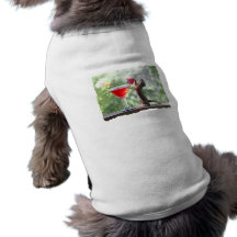 Squirrel Drinking Tropical Drink Doggie T-shirt
