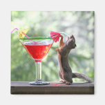 Squirrel Drinking Tropical Drink Fridge Magnets