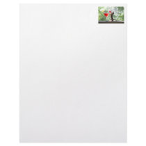 Squirrel Drinking Tropical Drink Customized Letterhead