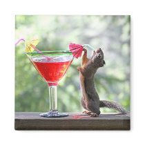 Squirrel Drinking Tropical Drink Fridge Magnets