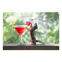 Squirrel Drinking Tropical Drink Photo Art