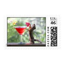 Squirrel Drinking Tropical Drink Postage