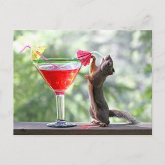 squirrell drinkie poo