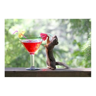 Squirrel Drinking Tropical Drink Poster