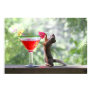 squirrel, "funny, squirrel,
