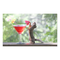 Squirrel Drinking Tropical Drink Rectangle Stickers