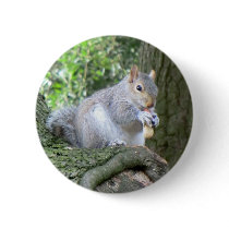 Squirrel eating a monkey nut pin