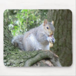 Squirrel eating a monkey nut mousepads