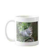 Squirrel eating a monkey nut coffee mugs