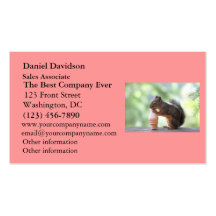 Squirrel Eating an Ice Cream Cone Business Card Templates