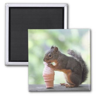 Squirrel Eating an Ice Cream Cone Fridge Magnet