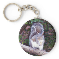 Squirrel Eating keychains
