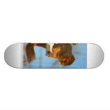Squirrel Express Skate Board