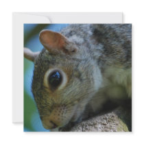 Squirrel Face Invitations