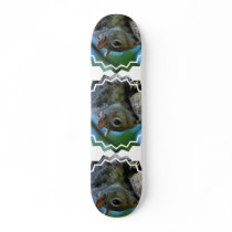 Squirrel Face Skateboard