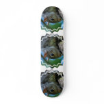 Squirrel Face Skateboard