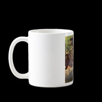 Squirrel Friend mugs