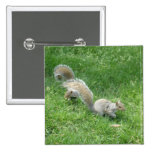 Squirrel Friends Button