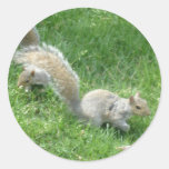 Squirrel Friends Round Sticker
