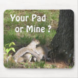 Squirrel  Funny Mouse pad