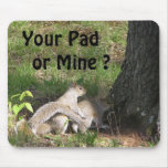 Squirrel  Funny Mousepad