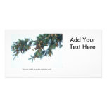 Squirrel Going Out on a Limb Custom Photo Card