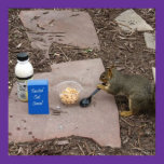 Squirrel Grabbing Breakfast Poster posters