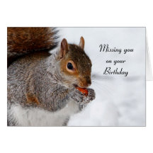 Squirrel Greeting card