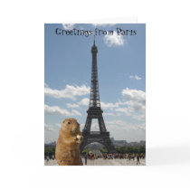 Squirrel Greetings from Eiffel Tower cards