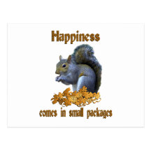 Squirrel Happiness Postcard