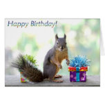 Squirrel Happy Birthday! Greeting Cards