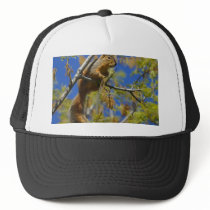 Squirrel Mesh Hat