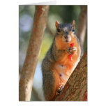 Squirrel Holding Cheese Puff Greeting Card,Note Ca