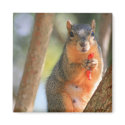 Squirrel Holding Cheese Puff Magnet