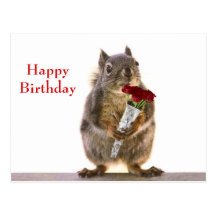 Squirrel Holding Red Rose Bouquet Post Card
