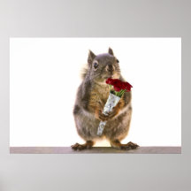 Squirrel Holding Red Rose Bouquet Posters