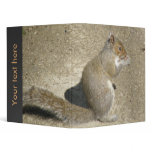 Squirrel Hungry Horatio Custom Avery Binder