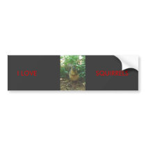 SQUIRREL, I LOVE, SQUIRRELS bumper stickers by tina312 SQUIRREL, I LOVE, SQUIRRELS bumper stickers