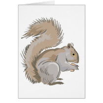 Squirrel Illustration Greeting Cards
