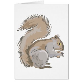 Squirrel Illustration card