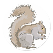 Squirrel Illustration Round Sticker